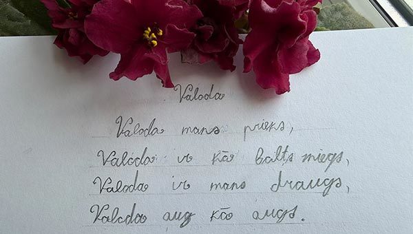 Valsts valodas diena