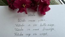 Valsts valodas diena