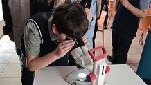 Nedaudz zinātnes un brīvdienas var sākties!